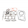 Полный комплект прокладок Polaris 800LC 09-711310