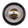 Термостат Suzuki DF4-6 (42C) - 17670-91J21-000, 17670-91j20-000, 17670-91j22-000