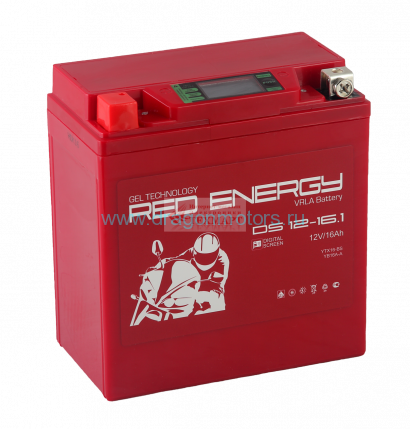 Аккумуляторная батарея RED ENERGY DS 1216.1