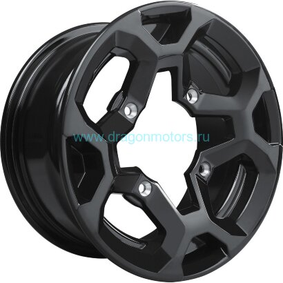 Диск для BRP 12" x 6" G2, G2L, G2S