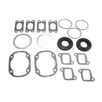 Комплект прокладок с сальниками Sledex для Ski-Doo 503F - 09-711162A