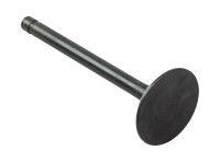 Клапан впускной Marine Rocket (F15-01.03.00.01)